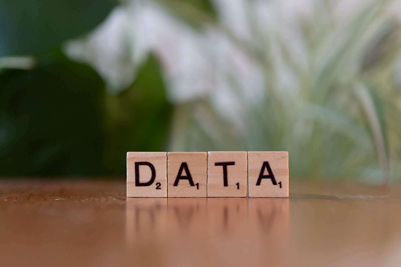 SQL — interroger une base de données